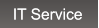 IT Service IT Service